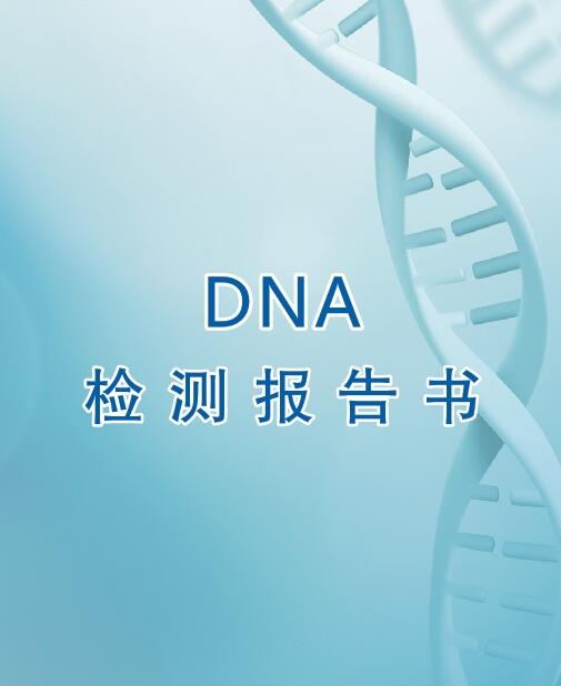 莱芜亲子鉴定流程之出具报告